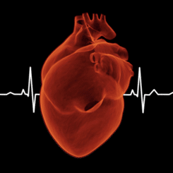 ECGclic