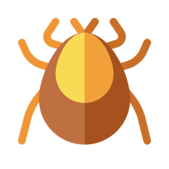 Allergie aux acariens