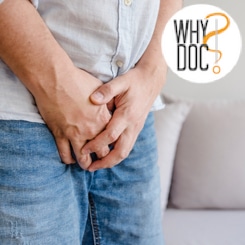 Cancer de prostate – WhyDoc