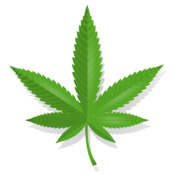 Cannabis : en parler